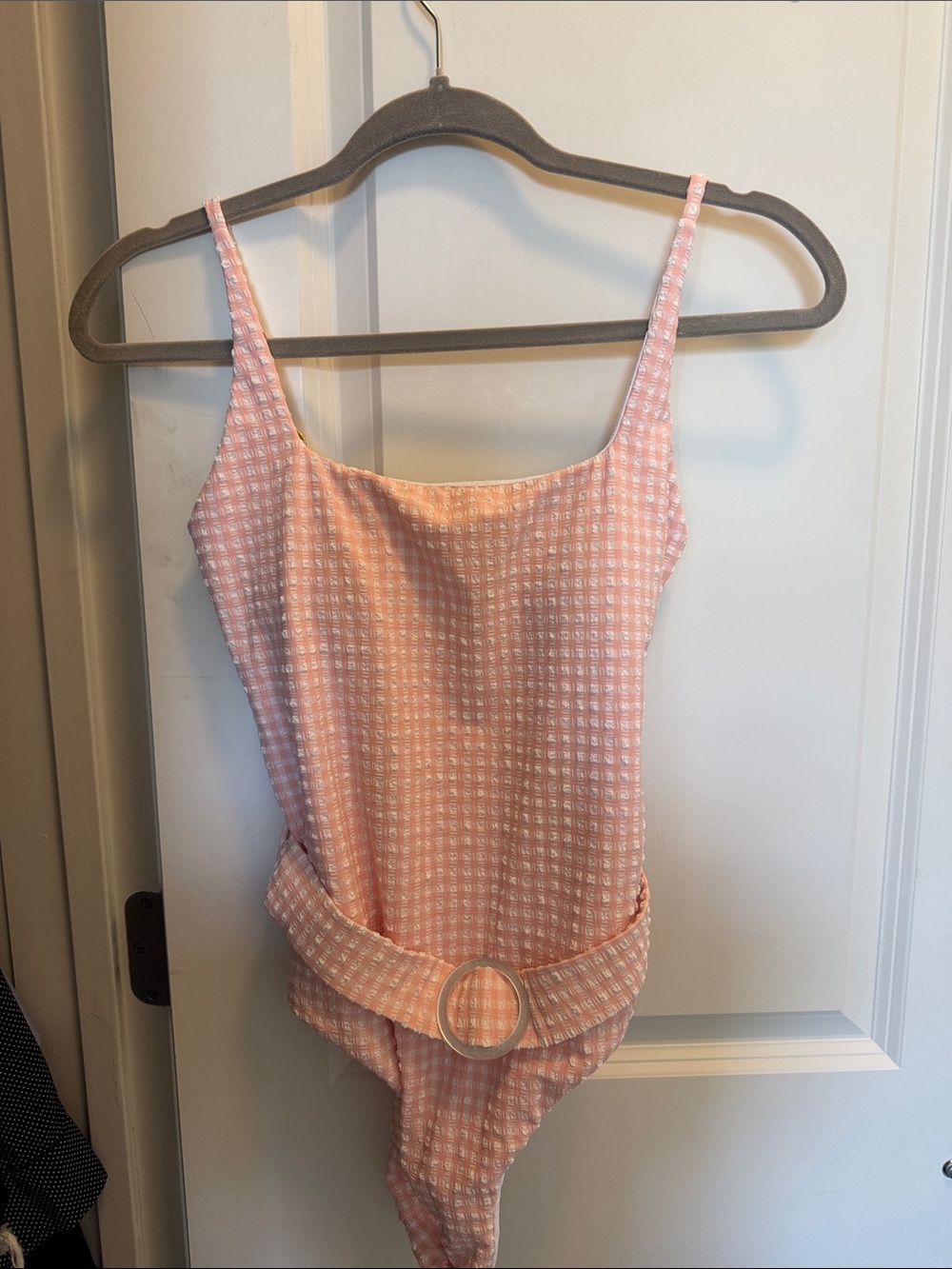 PQ Swim Pink Textured One-Piece Swimsuit with Belt